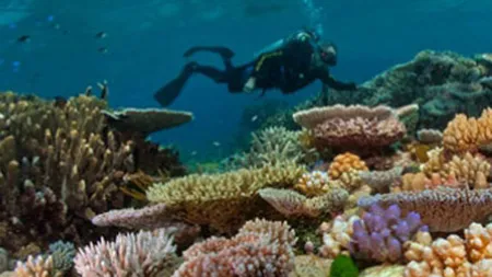 Top 10 locatii pe cale de disparitie pe care trebuie sa le vizitezi