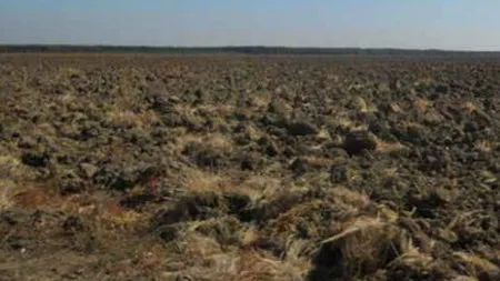 UNNPR: Contractul de vanzare-cumparare a terenului achizitionat de Ioana Basescu, legal