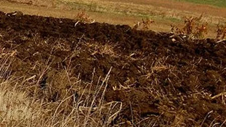 Bugetul Agriculturii va creste anul viitor cu 7%, la 5,88 miliarde de lei