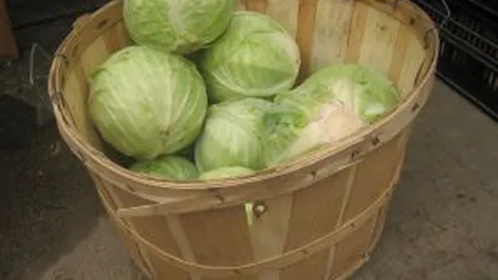 Varza murata romaneasca ajunge la Bruxelles