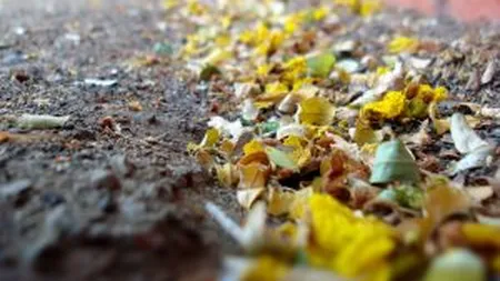 Oprescu: Spre sfarsitul lui 2015 ar trebui sa nu mai fie strazi de pamant