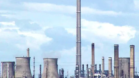 Cernev: Arpechim ar deveni profitabila doar in sistem integrat cu Oltchim