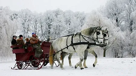 Colindatori, saniute trase de cai, pomana porcului. Topul locatiilor pentru un Craciun traditional