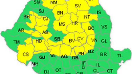 Cod galben de ninsori si viscol