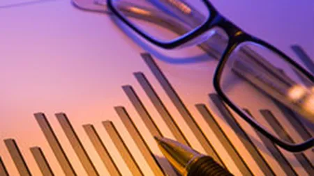 Radiografia economica a unui an electoral. 5 prognoze cheie pentru 2014