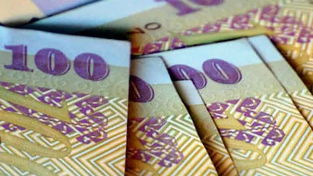 Leul, vedeta anului 2013: Cea mai buna evolutie din UE fata de euro