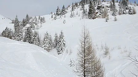 Cati turisti au petrecut Sarbatorile de Iarna in pensiuni