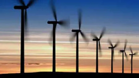 Productia de energie regenerabila a ajuns la un record istoric, dar subventiile vor fi reduse din acest an