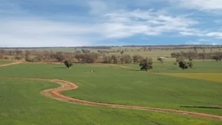 Grapini: Strainii pot cumpara fara restrictii terenuri. Exista un vid legislativ de o luna