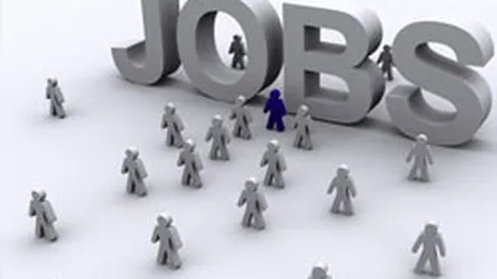 Piata muncii in 2014. Unde ai sanse de angajare anul acesta