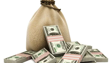 De ce nu se inghesuie investitorii sa cumpere firme intr-o piata de 100 mld. dolari