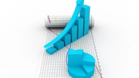 5 elemente critice in business care fac diferenta intre succes si insolventa