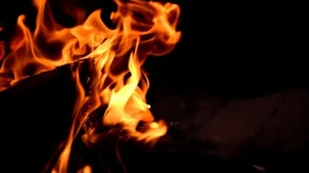 Marturia unui localnic salvator: Am facut targa din copaci, le-am facut foc