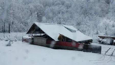 Viscol: Circulatia inchisa pe A1, A3 si alte drumuri, zboruri anulate