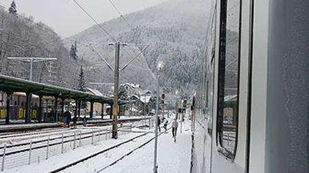 10 trenuri, blocate pe Valea Prahovei. Copaci doborati de viscol