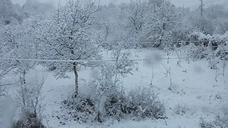 Cod portocaliu de viscol in Bucuresti si 13 judete