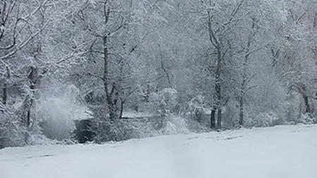 Viscol: ANM emite COD ROSU in trei judete