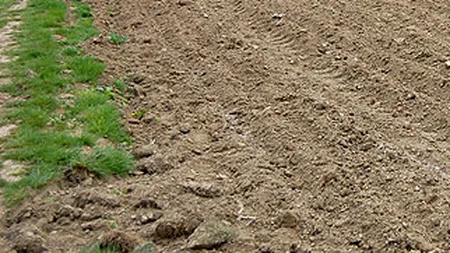 Audierile din Comisia Nana au fost amanate din cauza vremii nefavorabile