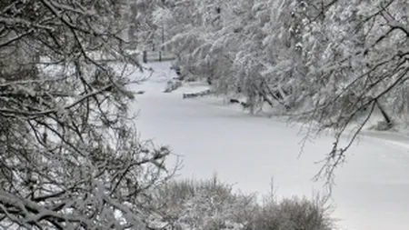 Ponta, Dragnea si Oprea se gandesc sa declare stare de alerta