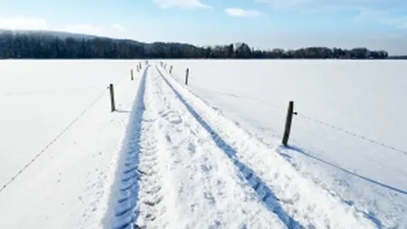 Primar din Buzau: Firmele care fac deszapezirea isi bat joc, nu raspund la telefon de 3 zile