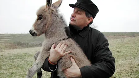 Mircea Dinescu face Politica si delicateturi la TVR