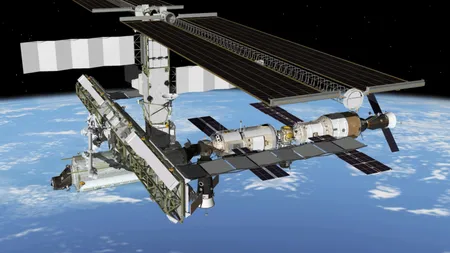 Prima recolta de legume proaspete obtinuta in spatiu