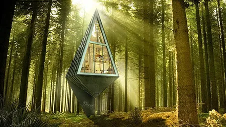 Confort in mijlocul padurii, la un pas de oras: Casele care se confunda cu brazii (Foto)