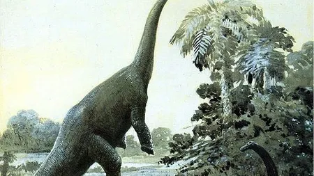 5 mistere ale Pamantului in Romania. Aici au disparut dinozaurii?