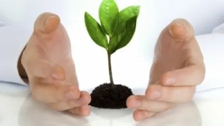 Cum putem incuraja business-urile creative prin masuri fiscale