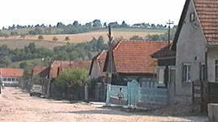 Perchezitii DNA in dosarul retrocedarilor din Nadas, Arad