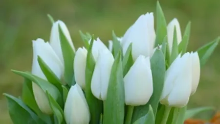 Evaziune fiscala: Amenzi de 45.000 de lei, aplicate la controale in Piata de Flori si Piata Rahova