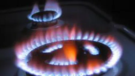 Ministrul Energiei: Masurile anuntate luni reprezinta tot ce poate face statul pentru consumatori