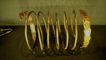 Cine castiga din comorile Romaniei?