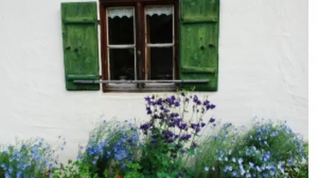 De ce romanii nu-si fac case din lut, paianta sau lemn?