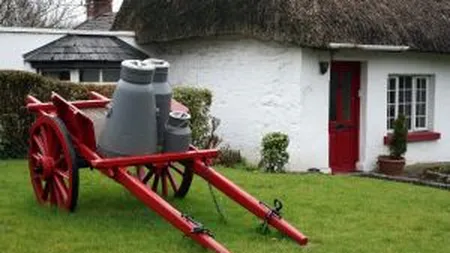 Piedica nebanuita in calea unui gigant din industria alimentara locala