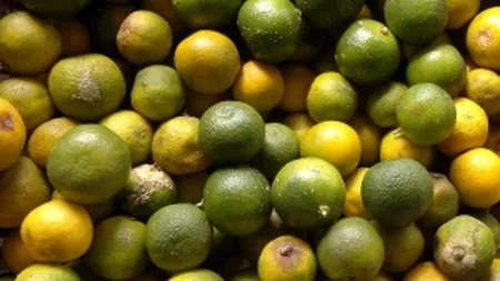 Produsul care se scumpeste cu 50% in fiecare luna in Mexic