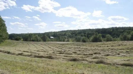 Parchetul General a inceput urmarirea penala in cazul terenurilor din Nana, judetul Calarasi