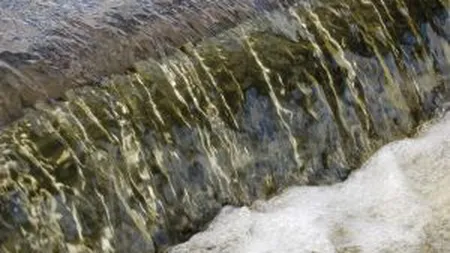 Zeci de gospodarii inundate in Prahova, Dambovita si Olt