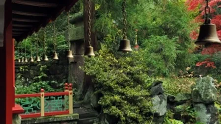 Un roman a ajuns in finala concursului pentru China's Dream Job