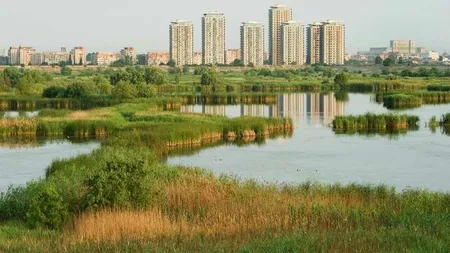 Viitorul Parc Natural Vacaresti din Sectorul 4 va fi avizat administrativ de CGMB