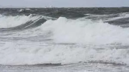 Premierul sud-coreean a demisionat dupa naufragiul feribotului Sewol