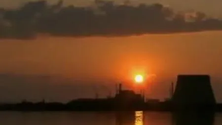 Lupi mutanti: Efecte necunoscute la 28 de ani de la accidentul nuclear de la Cernobil