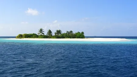 Ce ar lua romanii pe o insula pustie – un prieten, un cutit sau un gadget conectat la Internet?