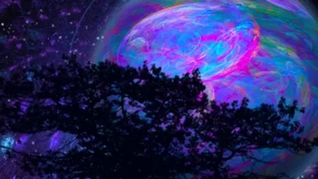 Avertisment socant: Pana in 2030 vom avea nevoie de 2 planete pentru a trai