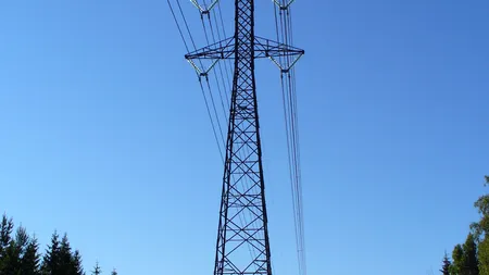 Cat a incasat Electrica dupa ce a facturat dublu certificatele verzi