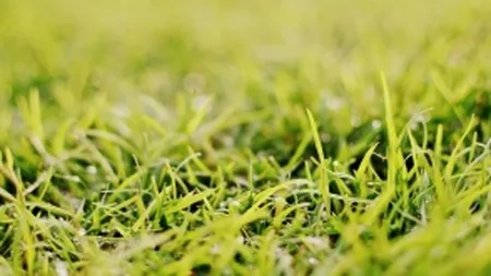 Fonduri norvegiene pentru 34 de proiecte verzi din Romania