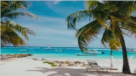 Facebook, sursa de invidie? De ce fericirea afisata in retea e o mare minciuna (Video)