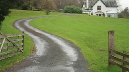 Cum trateaza americanii gazonul uscat