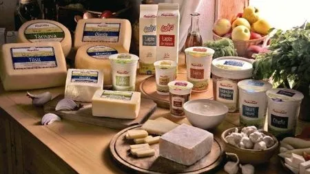 Cum se contrazic olandezii care detin Napolact cu fermieri romani