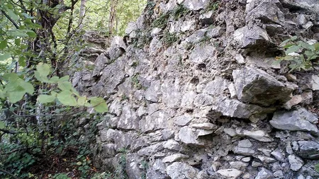 Cetate istorica din Romania scoasa la vanzare pentru ca aduce doar pierderi